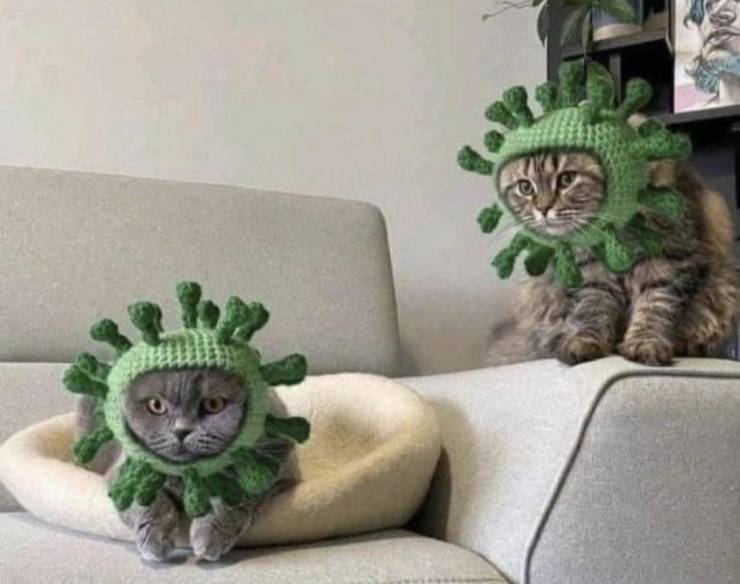 Подборка прикольных картинок Подборка прикольных картинок приколы,смешные картинки,юмор