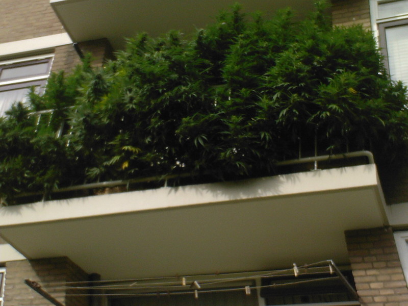 Тот случай ,когда выбросить жалко, а хранить негде балкон, мусор, прикол, хлам