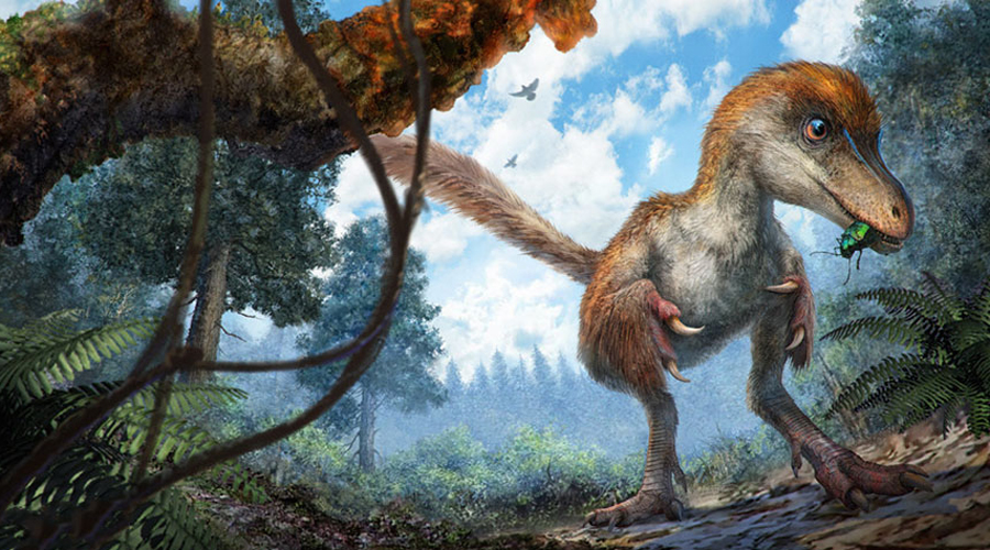 Динозавр в перьях: странный ящер поставил археологов в тупик хвост, может, хвоста, янтарь, позвонков, рынке, давно, ученые, принадлежал, сделать, Исследовательская, сделана, Впрочем, полевых, исследованиях, обычном, знают, застывший, уровня, Удивительно