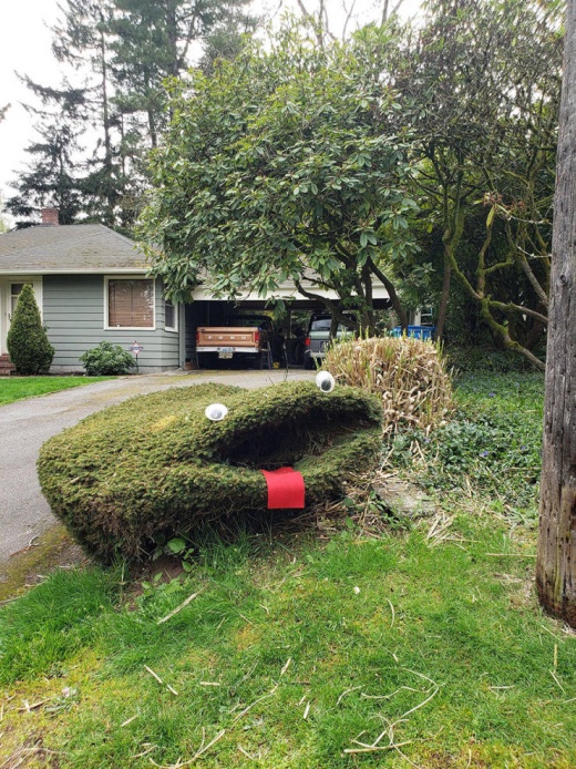 Классные и веселые фото приколы из нашей жизни Классные и веселые фото приколы из нашей жизни красивые фотографии,приколы,угарные фотки,фото приколы,шикарные фотографии,юмор