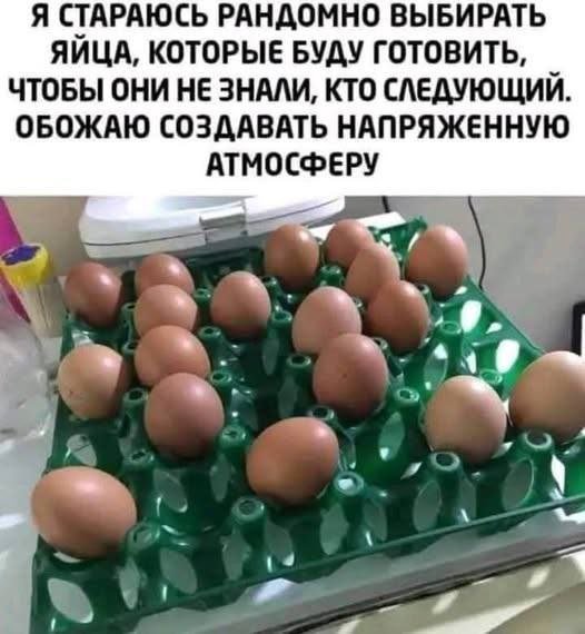 Смешные картинки с надписями и физика для чайников Смешные картинки с надписями и физика для чайников