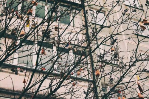 Тем временем в России (19 фото)