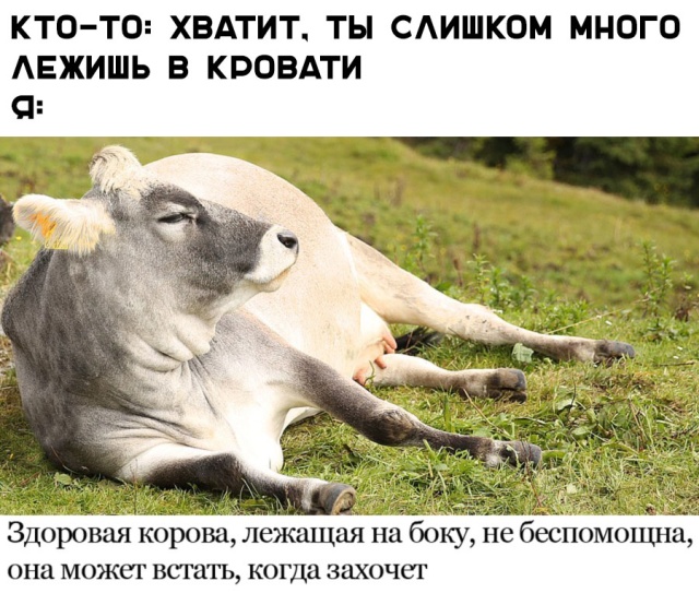 Подборка смешных картинок Подборка смешных картинок смешные картинки