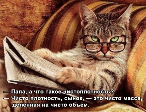 Физики тоже шутят: самые смешные открытки про науку! Физики тоже шутят: самые смешные открытки про науку! физики тоже шутят,юмор