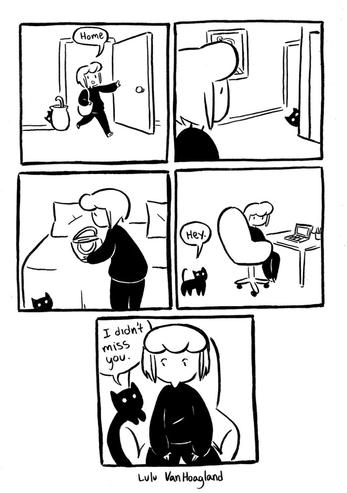 Cat Comics