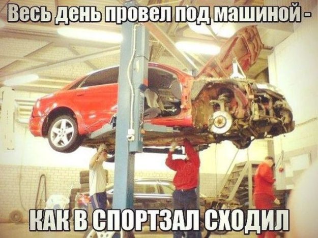 Подборка добрых и весёлых картинок Подборка добрых и весёлых картинок автоновости