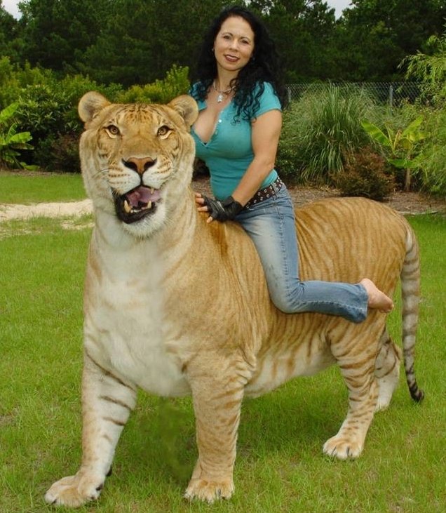 ����� �������������������� ���� - 2