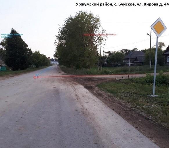 Под Кировом полицейский насмерть сбил шестилетнего мальчика, в крови ребенка нашли алкоголь