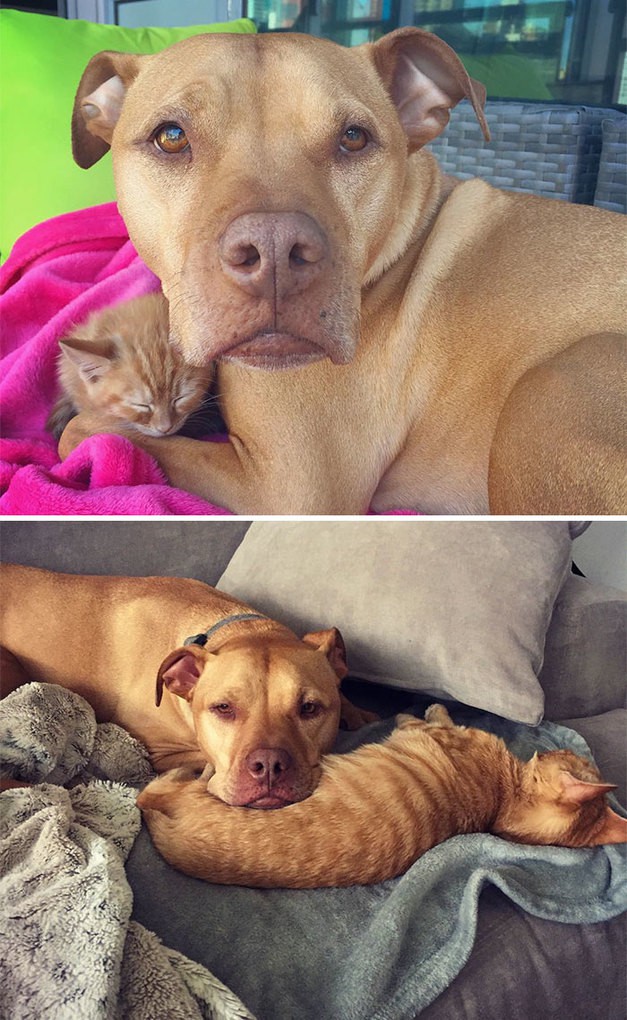 Bubba And Rue Then And Now