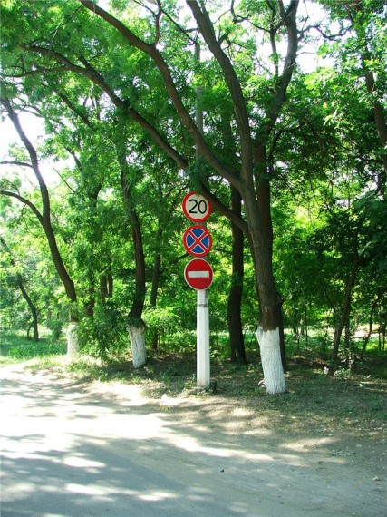 Давайте улыбаться вместе! :) №270114