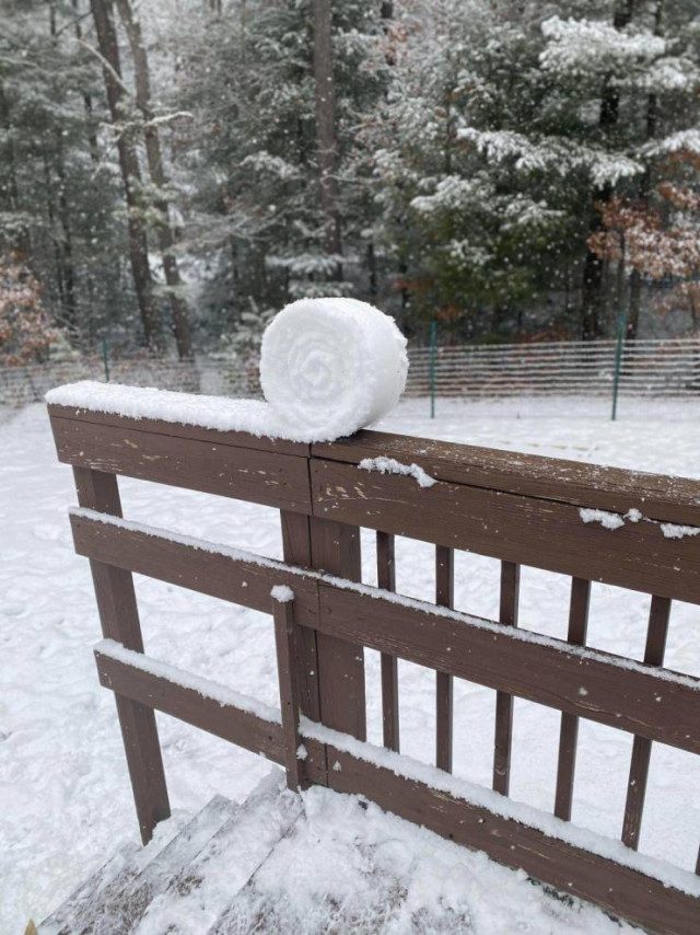 Приколы на любой вкус приколы,смешные картинки,юмор