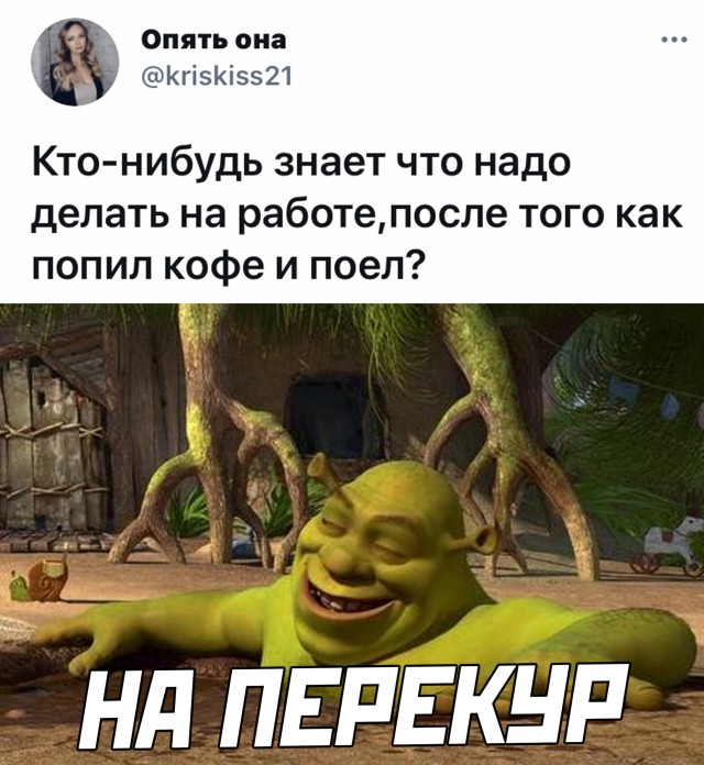 Подборка прикольных картинок Подборка прикольных картинок приколы,смешные картинки,юмор
