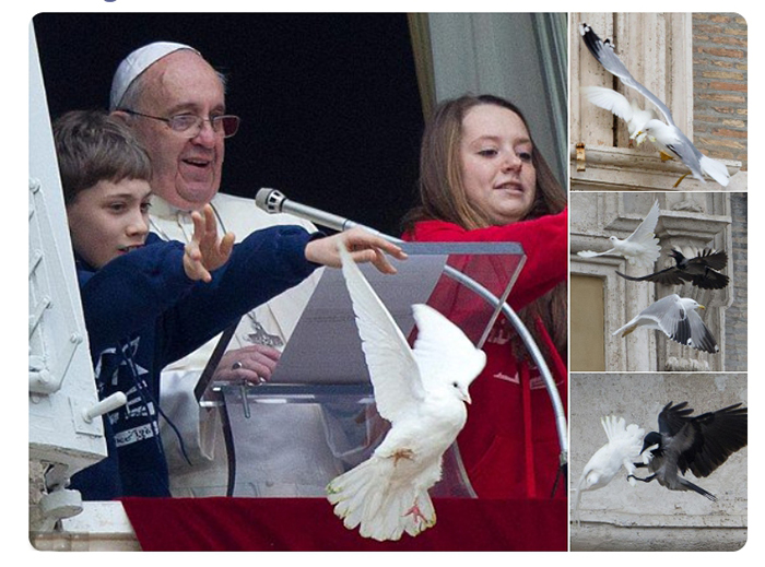 Инцидент с голубями во время выступления Папы Римского.