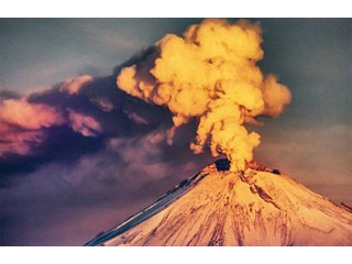 У истоков Great Reset