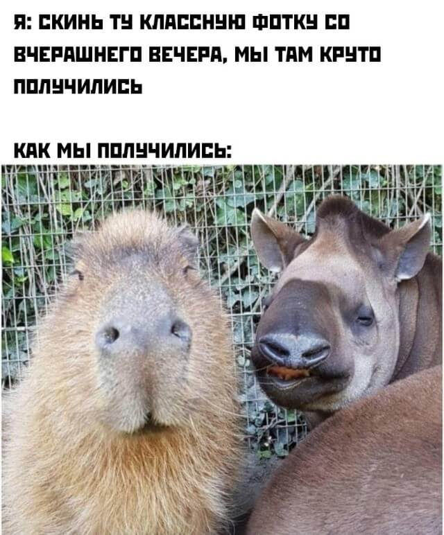 Подборка картинок. Вечерний выпуск 