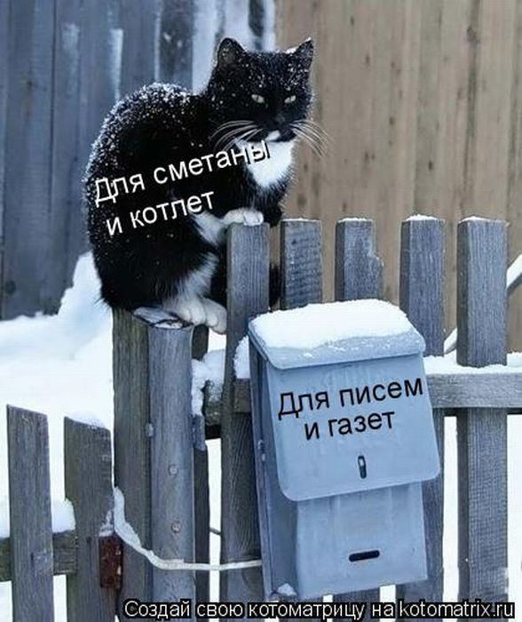 Мысли вслух :)