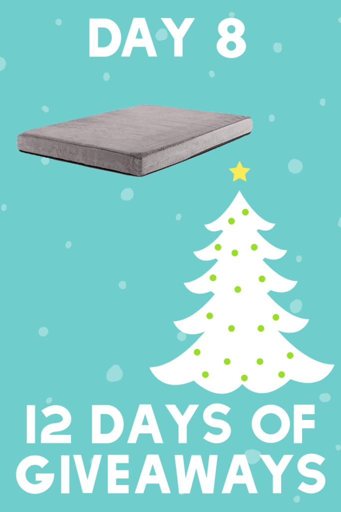 Does your dog need a new memory foam mattress? I'm pretty sure he does. Enter here to win a dog bed from Bark!