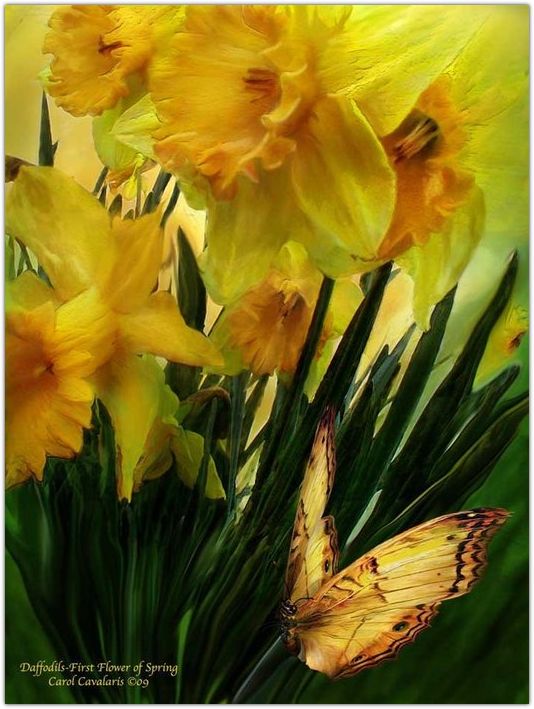 �������� �������� ����� ���������