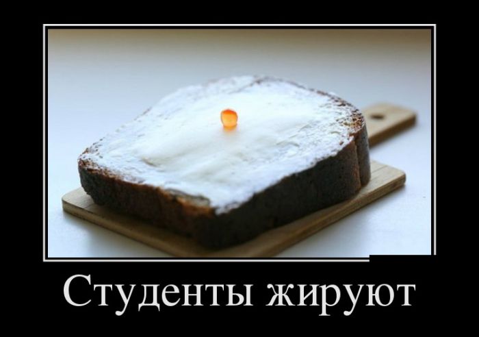 Демотиваторы выходного  дня 