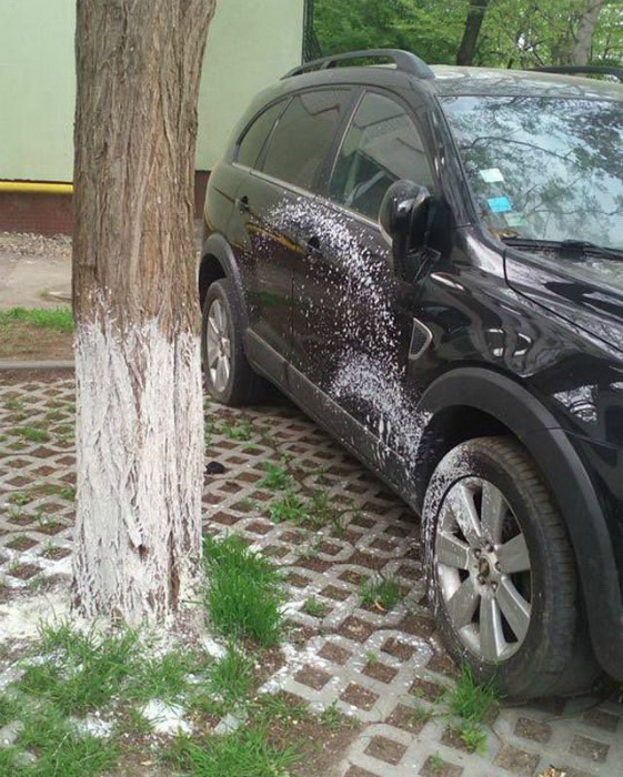 20 дурацких ситуаций из жизни сотрудников ЖКХ, глядя на которые не понятно - то ли плакать, то ли смеяться 20 дурацких ситуаций из жизни сотрудников ЖКХ, глядя на которые не понятно - то ли плакать, то ли смеяться