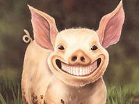 Свинтус на дороге