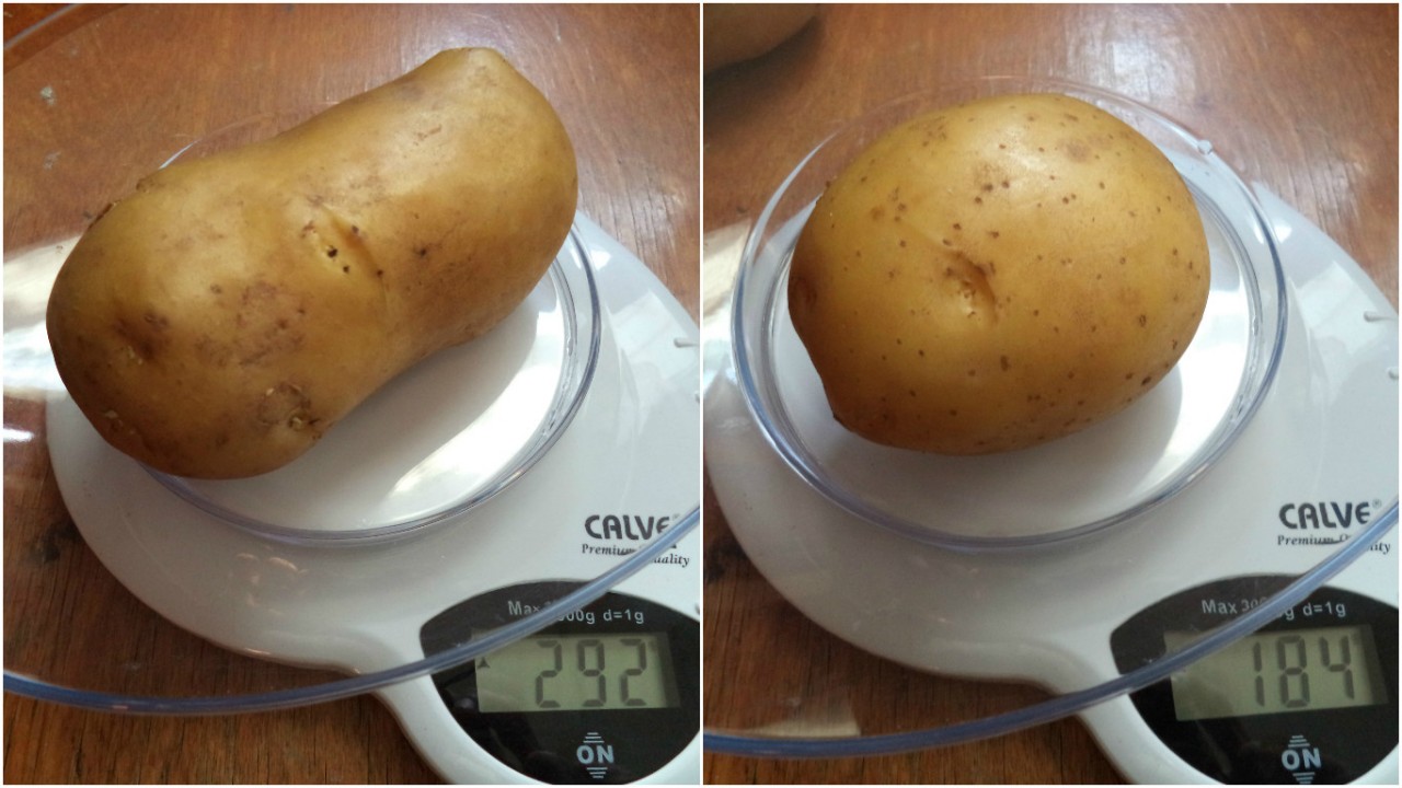 Вес 1 картофеля