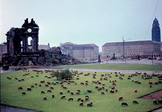 Как Восточная Германия строила коммунизм, чуть не разорилась и стала свободной стены, Берлина, Германии, в ГДР, из ГДР, граждан, через, время, «Штази», Берлин, тысяч, на Запад, страна, человек, жизни, Западного, только, стену, границу, со стороны