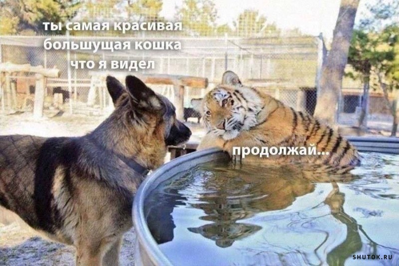 – Когда родилась демократия?  – Когда бог подвёл Адама к Еве и сказал: 