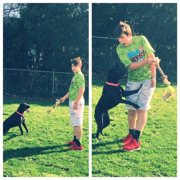 Подборка картинок. Дневной выпуск (51 фото)