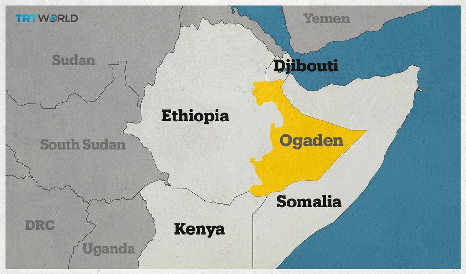 Эфиопия – Сомали: противостояние на Африканском Роге прежде и теперь геополитика,г,Москва [1405113],Приморский край [381755]