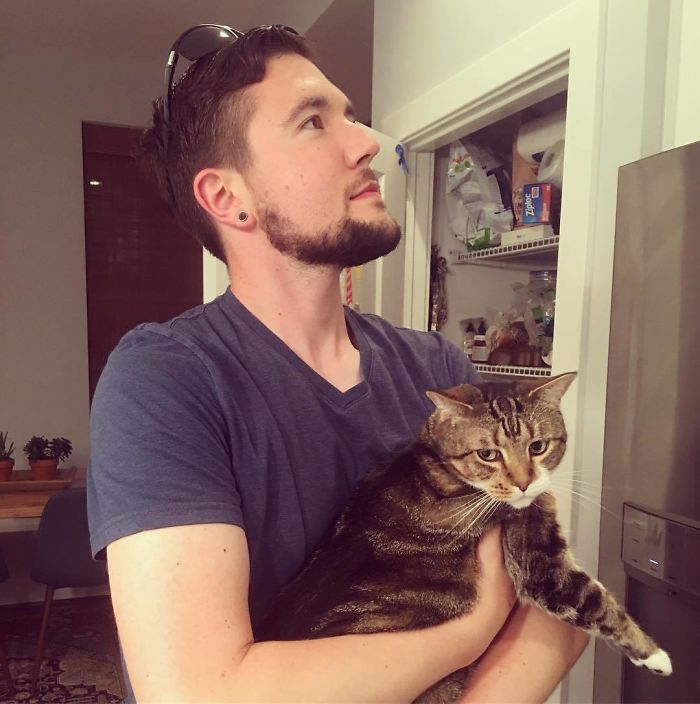 Man Cuddles Cats On Instagram