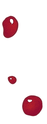 Просто кровь Просто кровь народная медицина,нетрадиционная медицина