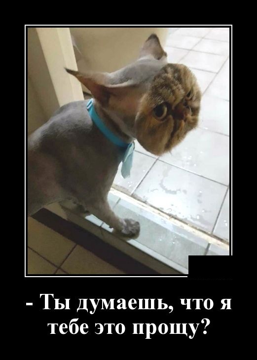 - Что означают пятна на Солнце? - Окна пора мыть! - Что означают пятна на Солнце? - Окна пора мыть! анекдоты,демотиваторы,приколы