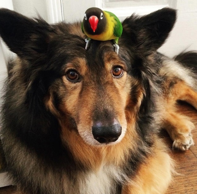 Найти крайнего оказалось трудно