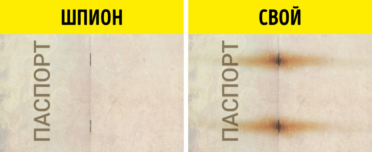 10 особенностей паспортов разных стран 10 особенностей паспортов разных стран жизнь, мир, паспорта, факты