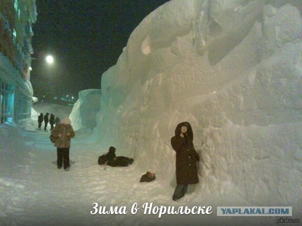 Мужик перед Новым годом пугливый и осторожный, как лань. В отношения вступает неохотно, чтобы подарок не дарить... «куда, самый, нашей, остались, верхушка, момент, обещал, наконец, говорится, семьи, место, помчался, гневе, старой, мишуре, трусах, Невольно, нашел, швабру, схватил