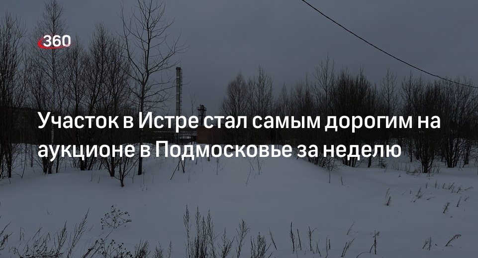 Участок земли в Истре арендовали за 24 миллиона рублей