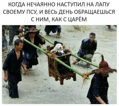 Прикольные фотомемы для всех Прикольные фотомемы для всех