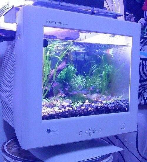 Смехотерапия 