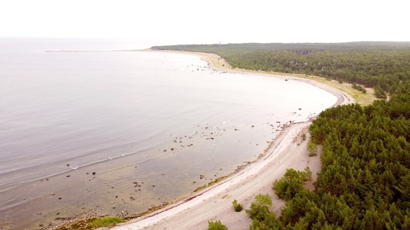 Прогулка по осеннему Хийумаа Прибалтика,тревел-фото,Эстония