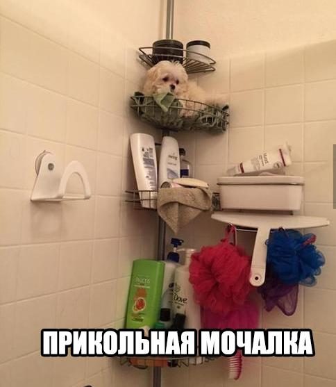 Смехопанорама Писца. Полный улёт!