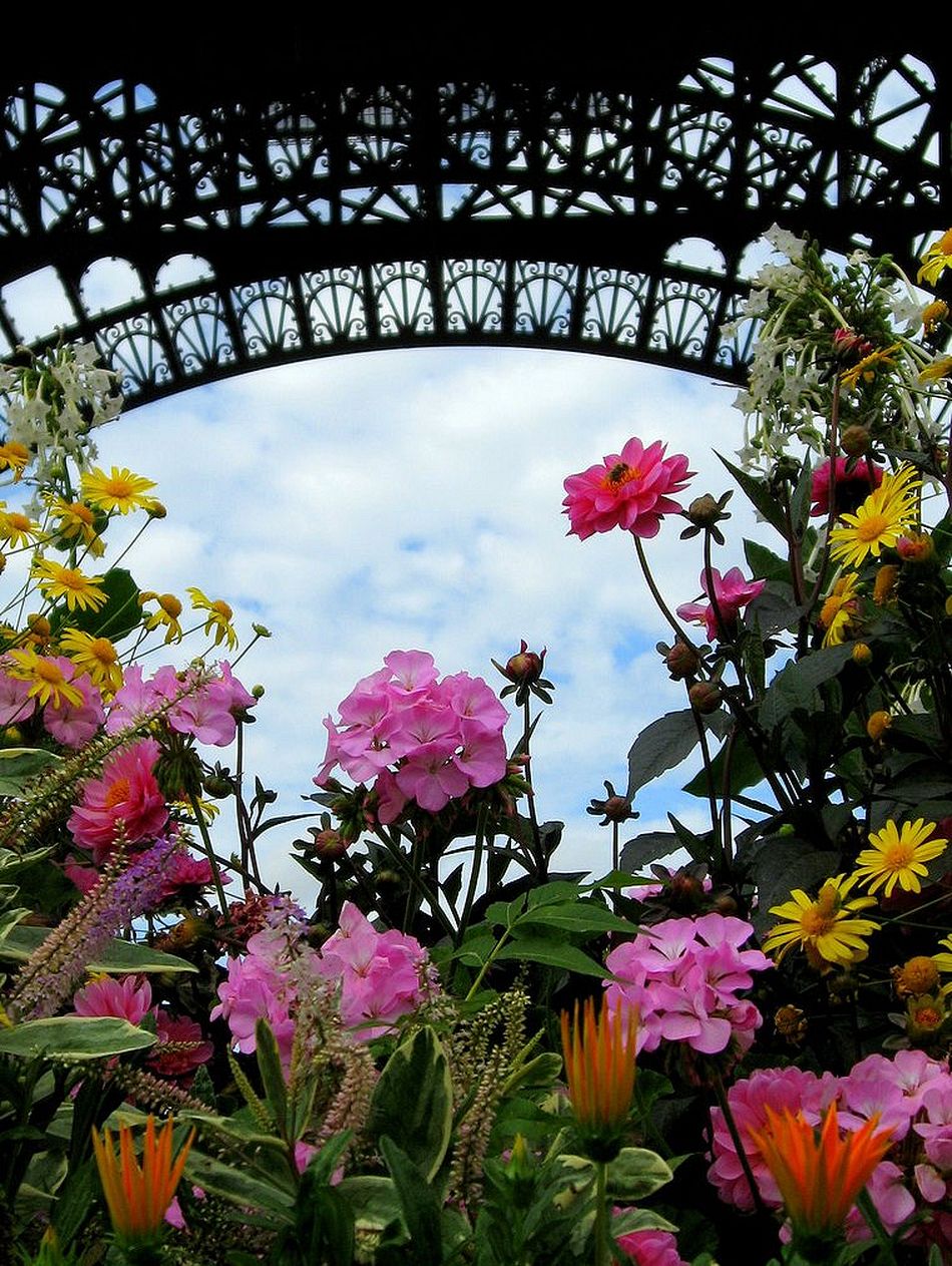 Краски Парижа. Вдохновение улиц Краски Парижа. Вдохновение улиц европа