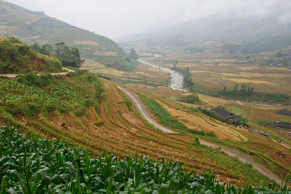Прогулки по рисовым террасам Прогулки по рисовым террасам пейзажи