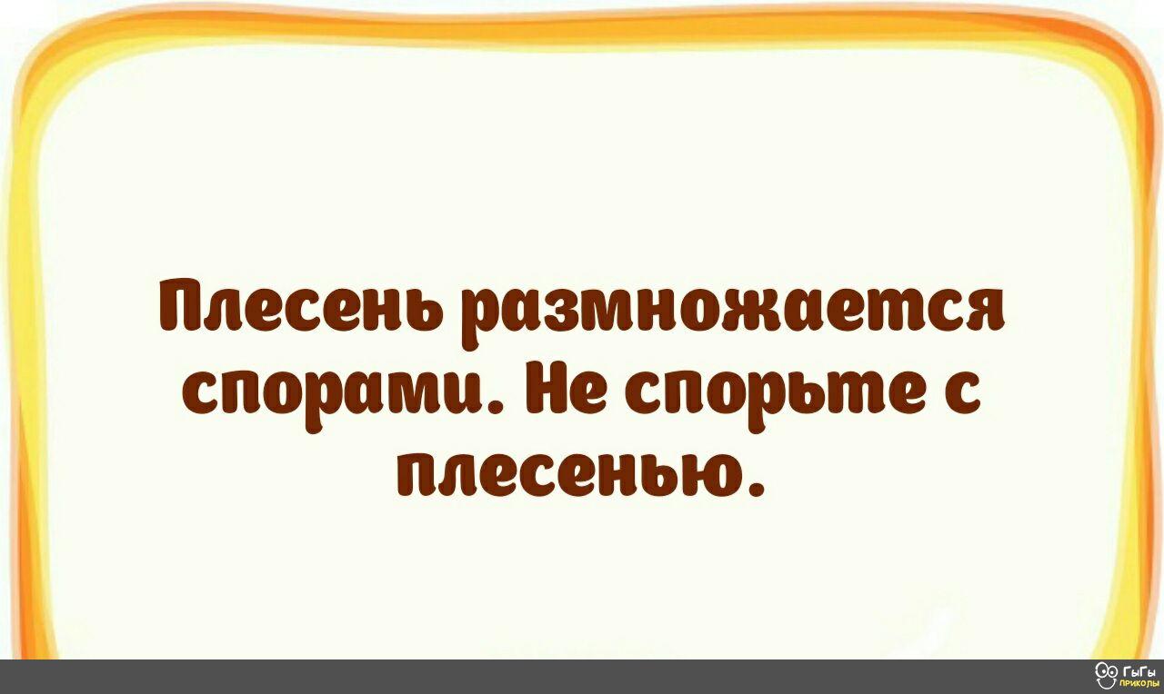 Подборка анекдотов и шуток в картинках Подборка анекдотов и шуток в картинках