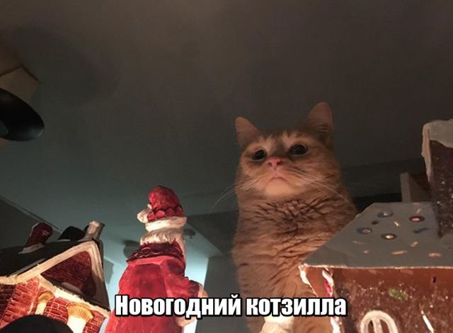 Подборка картинок