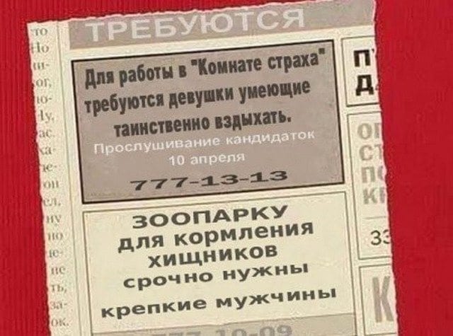 Смешные объявления: на работу требуется человек Смешные объявления: на работу требуется человек картинки,юмор