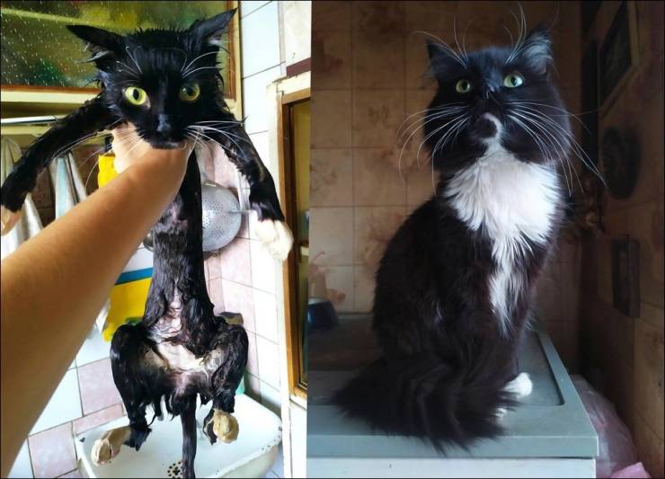 Подборка прикольных картинок  приколы,смешные картинки,юмор