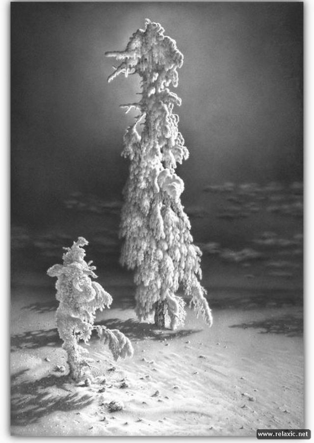 winter-drawings_050