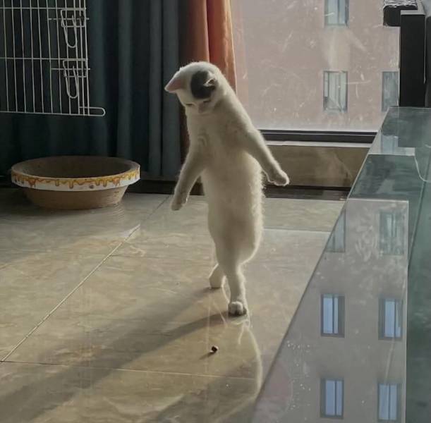 Подборка прикольных картинок Подборка прикольных картинок приколы,смешные картинки,юмор