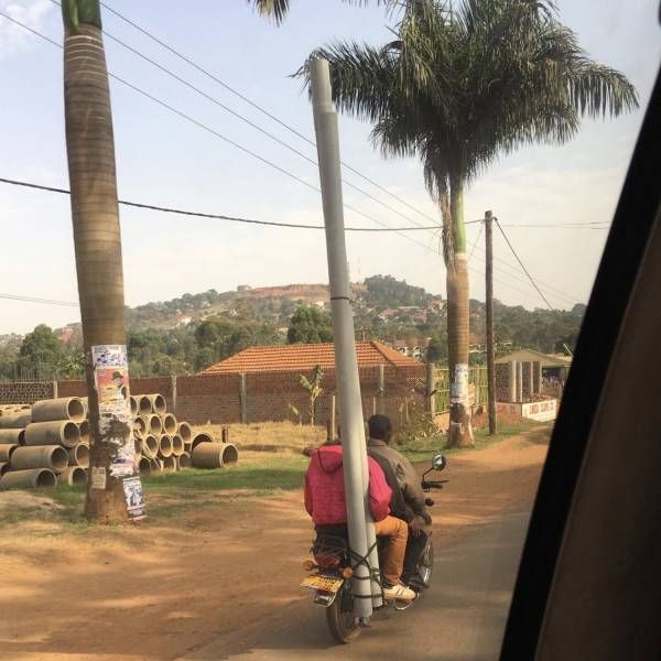 Подборка картинок. Дневной выпуск (52 фото)